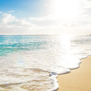 Meet your Posher, Jourdan